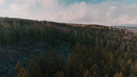 Flying-Low-Over-Wild-Green-Forest-In-Svitavy-Mountains,-Czech-Republic