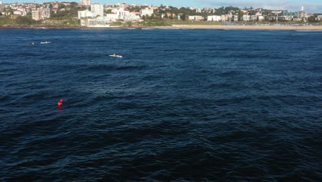 Línea-De-Tambores-De-Tiburones-En-Bondi-Bay,-Sydney,-Australia