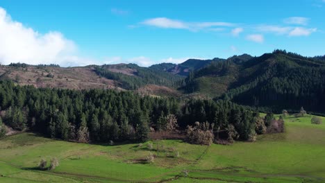 Beautiful-4K-aerial-drone-shot-overlooking-landscape-of-trees-in-Southern-Oregon