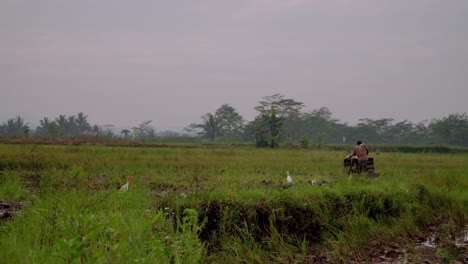Indonesischer-Bauer-Mit-Maschinen,-Die-Auf-Reisfeldern-Arbeiten---Bauer-Mit-Feldpflugmaschine
