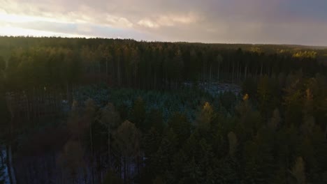 Aerial-drone-forward-moving-shot-flying-over-snow-covered-coniferous-forest-floor-on-a-cold-winter-day