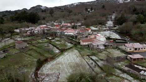 Picornio,-In-Galizien