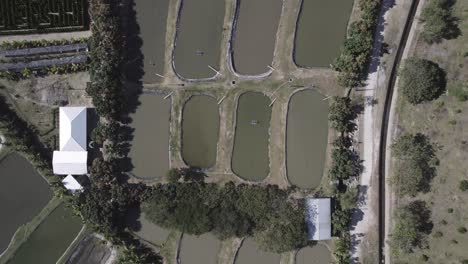 fish-pond-for-fishing-overhead-view