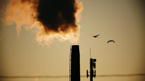 Factory-Chimney-Emitting-Smoke-into-Atmosphere-as-Flocks-of-Birds-Fly-Overhead