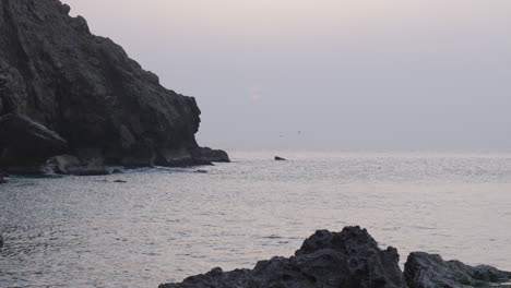 Calm-cloudy-sunrise-near-rocky-beachside-as-seagulls-fly-above-water-as-suddenly-man-jumps-onto-a-rock