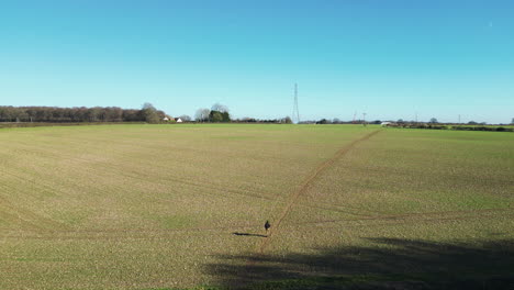 Drone-following-a-man-walking-along-a-field-path-in-Great-Missenden