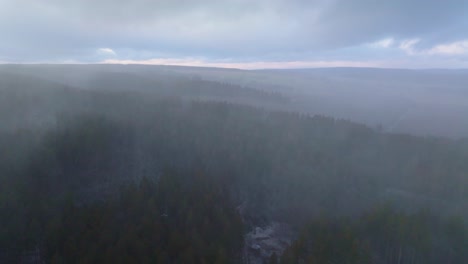 Aerial-drone-forward-moving-shot-above-snow-covered-coniferous-forest-over-hilly-terrain-on-a-foggy-winter-day