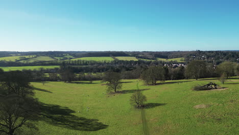 Overhead-view-of-a-sheep-field,-forests-and-a-church-in-Great-Missenden