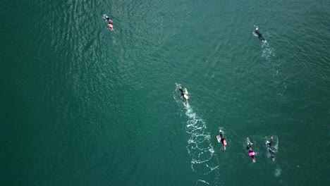 Gruppe-Von-Schwimmern,-Die-Für-Den-Marathon-Im-Offenen-Wasser-Trainieren