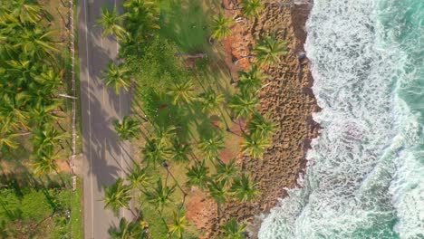Aerial-top-down-shot-of-road-and-palm-trees-with-sandy-beach-and-Caribbean-Sea-with-waves-at-sunset