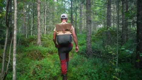 Man-hiking-in-the-forest