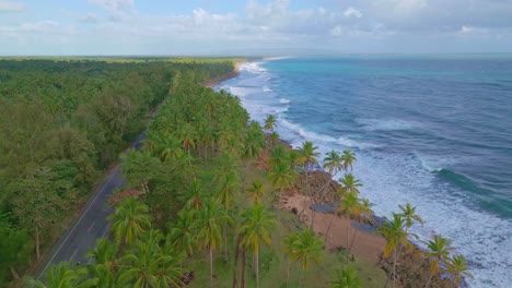 Aerial-drone-forward-flight-over-coastal-road-with-palm-trees-along-sandy-beach-with-Caribbean-Sea---NAGUA,-PROVINCE-MARIA-TRINIDAD-SANCHEZ