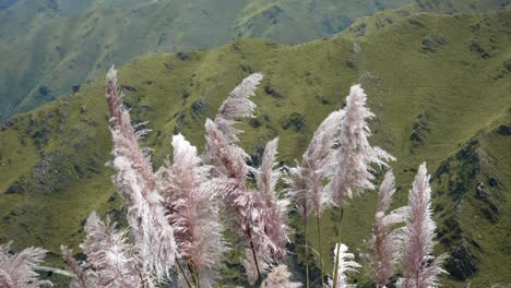 Atemberaubende-Berglandschaft-Mit-Pampagras-In-Argentinien