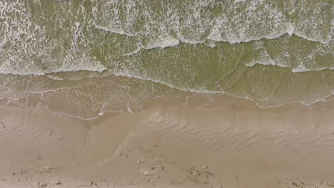 Aerial-birdseye-view-of-Baltic-sea-coast,-sunny-day,-white-sand-seashore-dunes-damaged-by-waves,-pine-tree-forest,-coastal-erosion,-climate-changes,-drone-shot-moving-forward