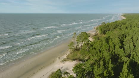 Aerial-establishing-view-of-Baltic-sea-coast,-sunny-day,-white-sand-seashore-dunes-damaged-by-waves,-pine-tree-forest,-coastal-erosion,-climate-changes,-wide-angle-drone-shot-moving-forward