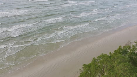 Aerial-establishing-view-of-Baltic-sea-coast,-sunny-day,-white-sand-seashore-dunes-damaged-by-waves,-pine-tree-forest,-coastal-erosion,-climate-changes,-wide-angle-drone-shot-moving-backward,-tilt-up