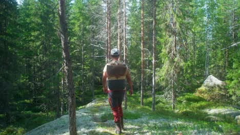 Mann-Wandert-An-Einem-Sonnigen-Tag-Durch-Den-Wald