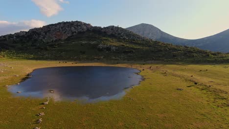 Small-lake-on-a-green-meadow-in-Greece-with-animals-grazing