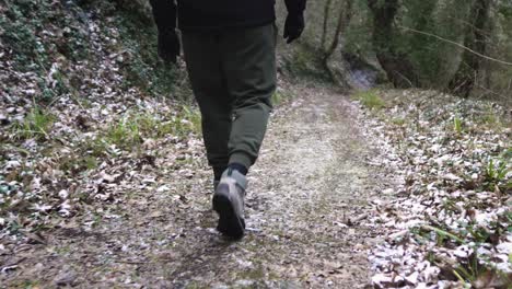 Macho-Excursionista-Caminar-Solo-Camino-Bosque-De-Montaña