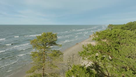 Aerial-establishing-view-of-Baltic-sea-coast,-sunny-day,-white-sand-seashore-dunes-damaged-by-waves,-pine-tree-forest,-coastal-erosion,-climate-changes,-wide-angle-drone-shot-moving-forward