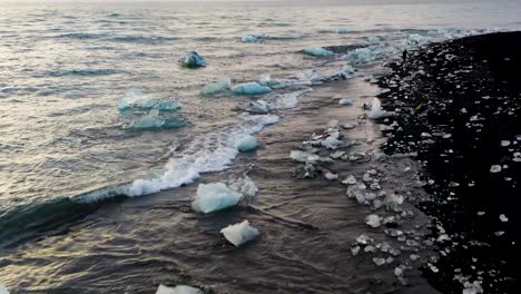 Aerial-flyover-black-beach-with-small-icebergs-on-shoreline-during-golden-sunset,-low-altitude