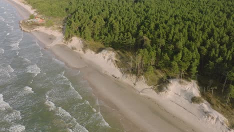 Aerial-establishing-view-of-Baltic-sea-coast,-sunny-day,-white-sand-seashore-dunes-damaged-by-waves,-pine-tree-forest,-coastal-erosion,-climate-changes,-wide-angle-drone-shot-moving-backward,-tilt-up