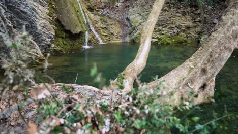 wide-angle-video-small-lake-waterfall-trees-and-leaves-foreground-panning-left