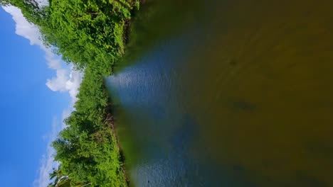 Vertical-fpv-flight-over-exotic-river-surrounded-by-forest-and-palm-trees-during-sunny-in-ARROYO-SALADO
