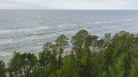 Aerial-establishing-view-of-Baltic-sea-coast,-sunny-day,-white-sand-seashore-dunes-damaged-by-waves,-pine-tree-forest,-coastal-erosion,-climate-changes,-wide-angle-drone-shot-moving-forward,-tilt-down