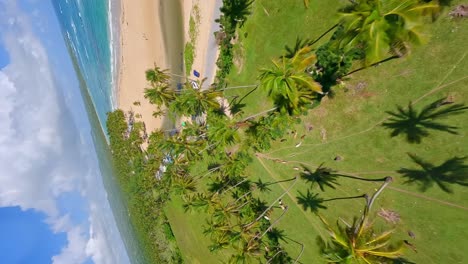 Vertical-FPV-flight-over-tropical-garden-with-palm-trees-and-golden-beach-and-Rio-Bacui-during-sunny-day