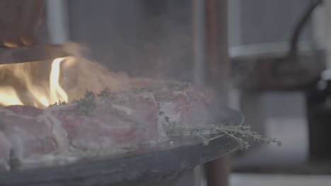 Meat-and-fish-baking-in-slowmotion-on-a-plate-barbeque-LOG