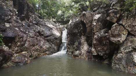 Bach-Im-Australischen-Tropischen-Regenwald,-Der-In-Ein-Einheimisches-Bedeutendes-Wasserloch-Fließt