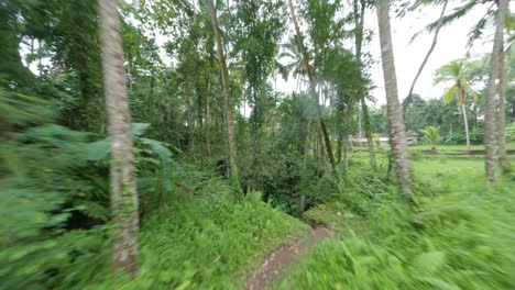 Fpv-Drone-Disparó-Entre-Un-Denso-Bosque-A-La-Cascada-Oculta-De-Ubud-En-Bali