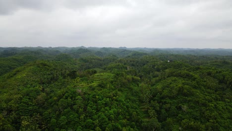 Aerial-backwards-shot-over-green-lush-Rainforest-during-cloudy-day-in-Indonesia
