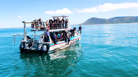 Haikäfig-Tauchboot-In-Südafrika,-Das-Wasser-Aufmischt,-Um-Haie-Anzulocken