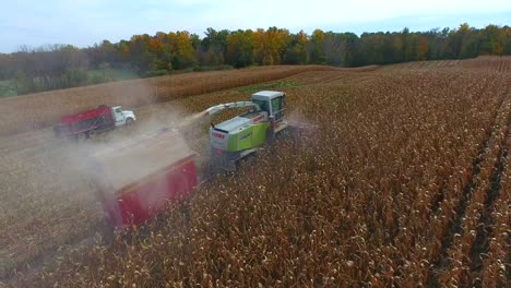 4k-combine-harvester-aerial-cornfield-agriculture-food-corn-establishing-autumn