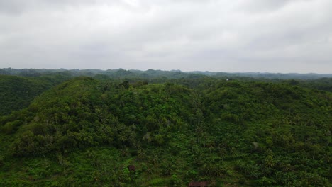 Vista-Aérea-De-La-Selva-Tropical-Verde-Con-Cielo-Nublado---Paisaje-De-Bosque-Tropical-De-Indonesia