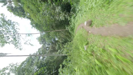 Drone-Vertical-Fpv-Disparó-Sobre-Un-Sendero-En-El-Bosque-Hasta-La-Cascada-Oculta-De-Ubud-En-Bali