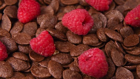 Detail-close-up-shot-of-chocolate-cereal-with-raspberries