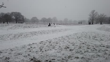 People-playing,-building-a-snowman,-during-a-heavy-snowfall-in-a-UK-park-setting
