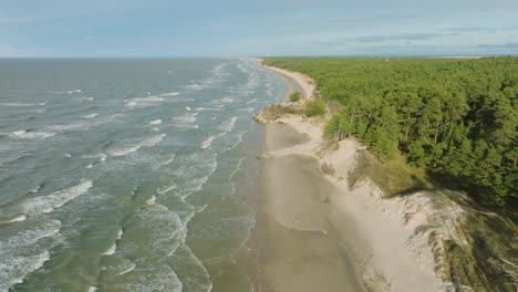 Aerial-establishing-view-of-Baltic-sea-coast,-sunny-day,-white-sand-seashore-dunes-damaged-by-waves,-pine-tree-forest,-coastal-erosion,-climate-changes,-wide-angle-drone-shot-moving-backward