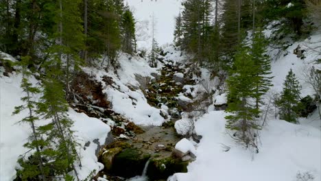 River-Flowing-Through-Forest-Snow-In-Marebbe,-South-Tyrol