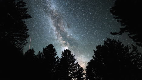 4K-Astro-Zeitraffer-Milchstraße-über-Hohen-Kiefernwäldern,-Übergang-Von-Nacht-Zu-Tag