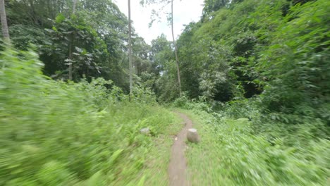 FPV-Drohne-Schoss-über-Einen-Fußweg-Im-Wald-Zum-Versteckten-Ubud-Wasserfall-Auf-Bali