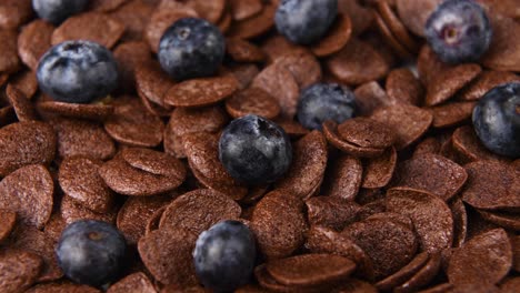 Close-up-detail-shot-of-chocolate-cereal-with-blueberries