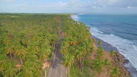 Aerial-backwards-shot-of-palm-tree-avenue-road-beside-Caribbean-Sea-at-sunset---María-Trinidad-Sánchez,-Nagua,-Dominican-Republic