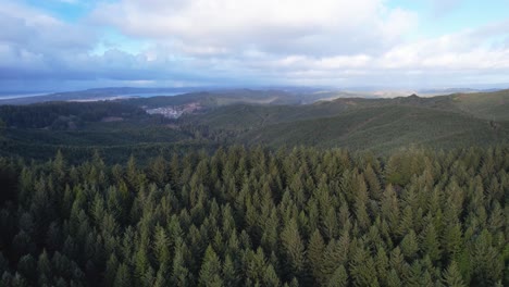 Beautiful-4K-aerial-drone-shot-peaking-over-Southern-Oregon-tree-landscape-horizon