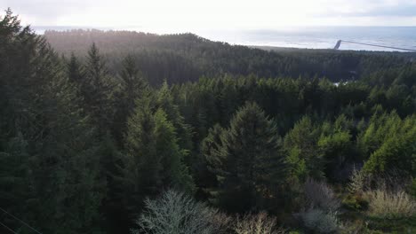 Beautiful-4K-aerial-shot-showcasing-tree-landscape-with-ocean-background-in-Southern-Oregon