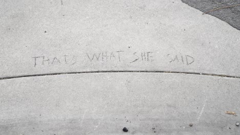 Pavement-with-"Thats-What-She-Said"-Imprinted-by-finger-on-urban-sidewalk---close-up