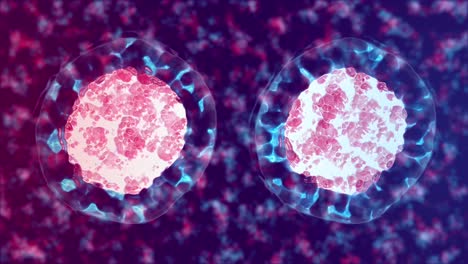 Cell-division,-Mitosis-3d-animation